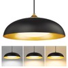 KUDOS 15 Inch Large LED Pendant Lights, Black and Gold
