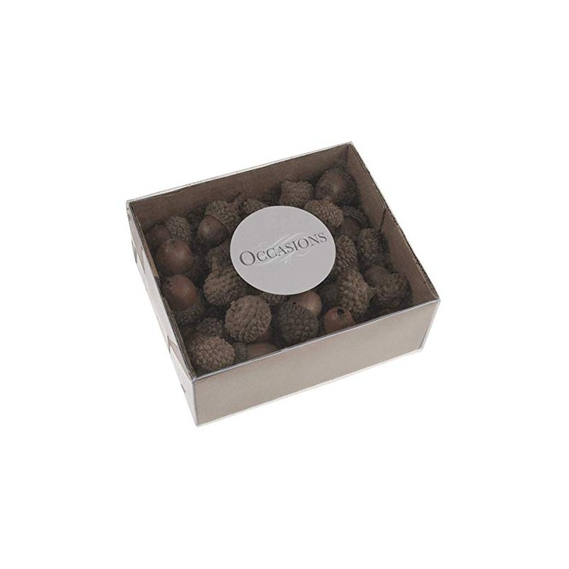 Trimits Natural Accessories, Acorns, 50 Pieces, 23x23x17mm B2231NAT