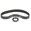 Sammic 2059359 Belt + Retainer Set, 9" Height, 6" Width,