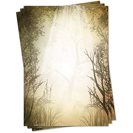 Lysco Natural Certified Design Letter Paper DIN A4 25 Sheets Writing Paper – Forest Sun Rays Clearing