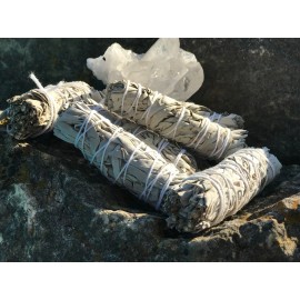 Bmorespicy.com White Sage 20 - 1500 Seeds ORGANIC Herbs Salvia Apiana Medicinal Rare Perennial - 500 seeds