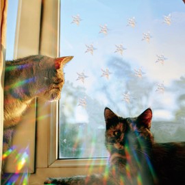 Shawula 72PCS Star Window Clings - Anti-Collision Decals to Save Birds from Collisions,Non Adhesive Prismatic Vinyl Clings, Rainbow Stickers