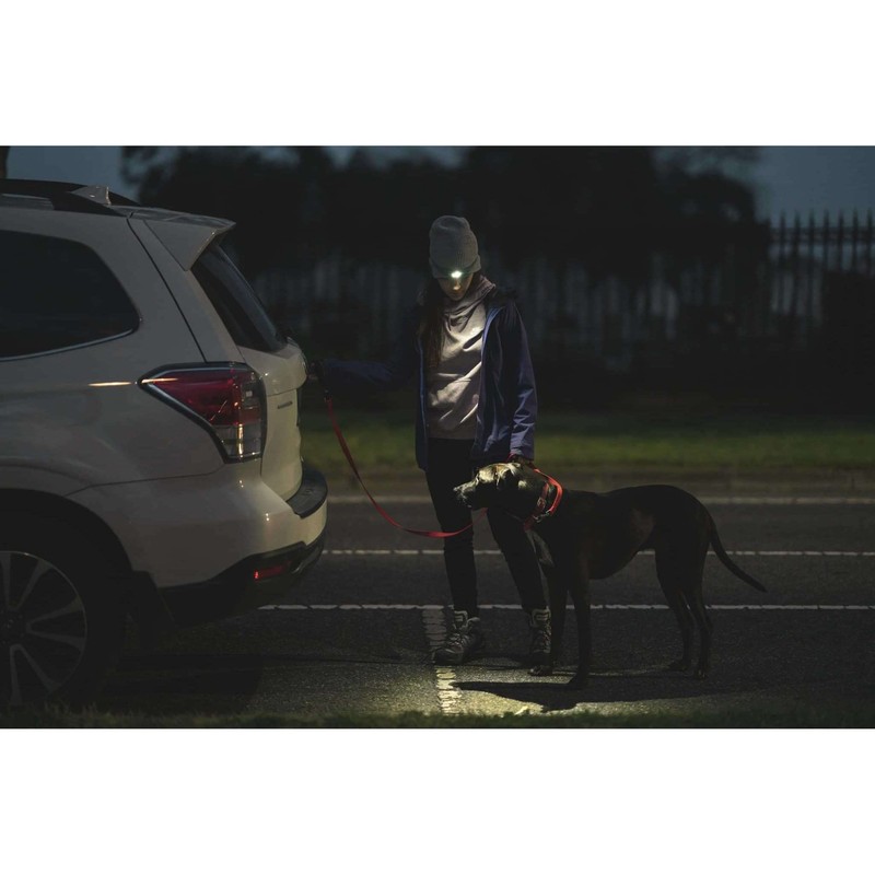Knog Quokka Headlamp - Black, 80 Lumen LED, 4 Modes,