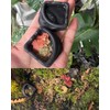 9 PCS Spider Micro Water Bowls, Mini Resin Dishes for
