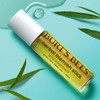 Burt's Bees Herbal Blemish Stick, 0.26 Fl Oz (Pack of