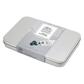 Winsor & Newton Professional Artists' Oil Colour Tin Set
