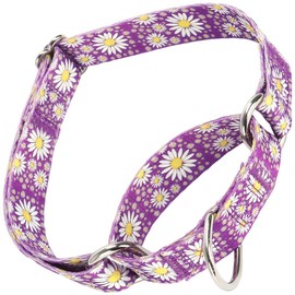 Serijoars Martingale Collar for Dogs, No-Slip Escape Proof Choke No Pull Cinch Soft Nylon Dog Training Collars Adjustable for Medium Large Breed Pet Dogs (Purple, L)