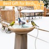 Bird Bath Heater,Birdbath Heater for Winter Outdoors, 70 Watts Pond