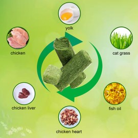 BAGUBDR 2PCS Cat Grass Sticks, Cat Grass for Hairball Removal Catnip Toy Sticks Ideal Chewing Treats for Cats for Indoor or Outdoor