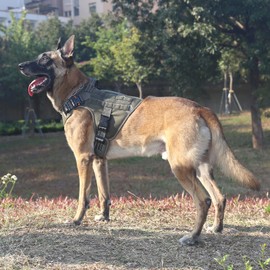 ICEFANG Reflective Tactical Dog Harness for X-Large Sized Dogs,2X Metal Buckle,Working Dog MOLLE Vest with Handle,No Pulling Front Leash Clip (XL (Pack of 1), Green)