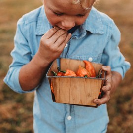 Habanada Pepper - 10 Seeds - Heatless Habanero Pepper, Sweet & Citrusy Flavor, Non-GMO, Heirloom Sweet Pepper Seeds for Planting in The Home Garden, Thresh Seed Company