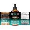 USDA Organic Lymphatic Drainage Supplement - Echinacea | Elderberry |