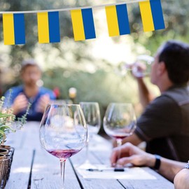 32FT Ukraine Pennant Small Flag Bunting,30 PCS Mini String Banner Stripes Ukrainians Decor Rectangle for Holiday Restaurant Home Party School