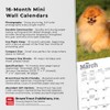Pomeranians | 2023 7 x 14 Inch Monthly Mini Wall