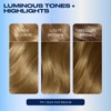 Clairol Nice'n Easy Permanent Hair Dye, 7A/7C Dark Cool Blonde
