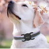 2-in-1 Pet Tracking Smart Collar (iOS Compatible): No Monthly Fee,