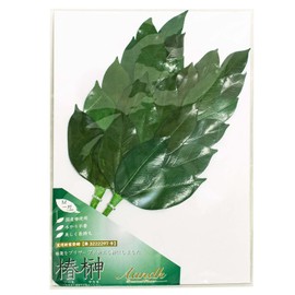 A&K Sakaki Preserved (M Size: 1 pair, Approx. Height 12.6 inches (32 cm) x Width 5.9 inches (15 cm), No need to change water, Keep Beautiful, Made with Premium Camellia Leaves (Tanba), Shinto Shelf, For Offering