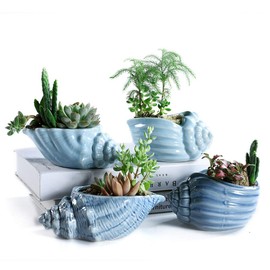 Bonsai Pots 5.5 Inch Blue Conch Ocean Series Ceramic Base Serial Set Succulent Plant Pot Cactus Plant Pot Flower Pot Container Planter With Drainage Hole Gift Idea 4 In Set(Plants Not Included)