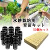 S.fields.inc Rock Wool Block Hydroponics Pot, Set of 50, Seedling