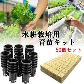 S.fields.inc Rock Wool Block Hydroponics Pot, Set of 50, Seedling Kit, 25mm