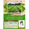 Mulberry Leaf Tea, 0.1 oz (3 g) x 60 Packets,