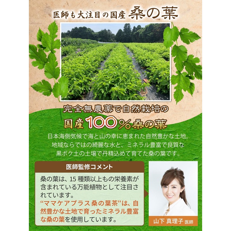Mulberry Leaf Tea, 0.1 oz (3 g) x 60 Packets,