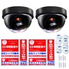 Co-Goods Dummy Camera (2 Pieces) Security Stickers Waterproof/Lightproof (1 Inner