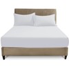 GC GAVENO CAVAILIA | Fitted Sheet Single - Easy Care