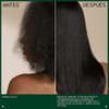 Aveda Botanical Repair Strengthening Shampoo | Fortalece y Repara