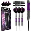 Mission | Phantom Darts | Silver & Purple | Brass