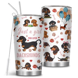 MoYueno Dachshunds Gifts, 20oz Stainless Steel Just a Girl Who Loves Dachshunds Tumblers with Brush & Straw, Wieners Gift for Women, Dog Tumbler, Gifts for Fathers Day