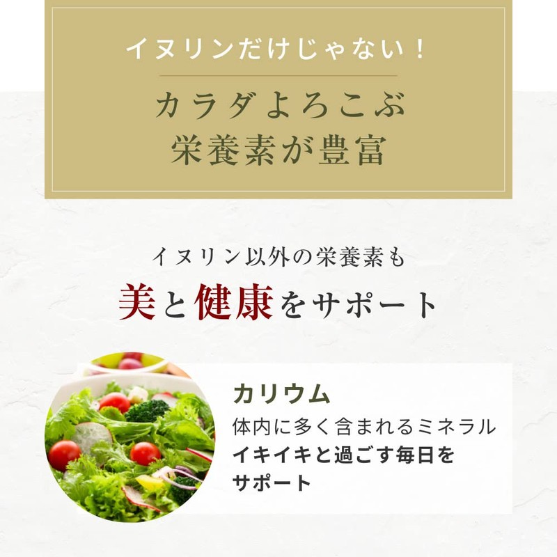 オーガライフ 紫 菊芋パウダー 国産 風土日和 イヌリン 無添加 無農薬 食物繊維 100g