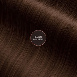 EVERPRO EVERPRO Gray Away Root Touchup Quick Stick, Black/Dark Brown, 0.1 Oz