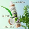 Shampoo de Coco - Hidratante, Nutritivo, Protector | 520 ml
