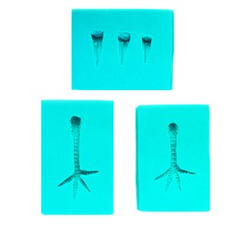 Beaks and Birdie Feet Silicone Molds (Set of 3) by WSA