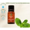 Oleum Vitae Aceite Esencial De Menta 100% Puro 15ml. Oleum