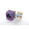 Panduit GENIUNE Panduit CJ688TGVL Cat6 Mini-Com Jack Module, Violet ~STSI