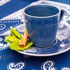 costanova (kosutanoba) Nova Tea Cup & Saucer