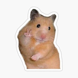 Peace Hamster Meme Sticker - Sticker Graphic - Auto, Wall, Laptop, Cell, Truck Sticker for Windows, Cars, Trucks