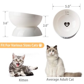 YouPeng Ceramic Cat Food Bowl Set of 2, Tilted Elevated Bowls No Spill, Anti Vomiting, Backflow Prevention, 15oz