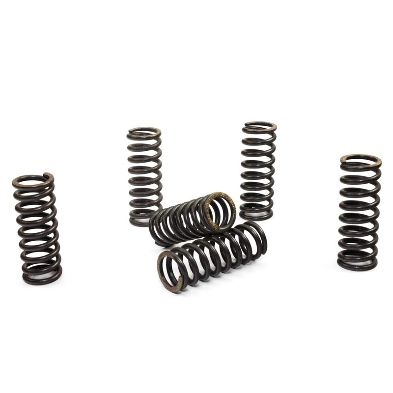 EBC Clutch Spring Kit CSK045