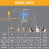 Coodeo Dog Lift Harness, Pet Support & Rehabilitation Sling Lift