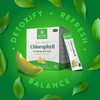 Nature's Sunshine Chlorophyll Stick Packs: Supercharge Your Detox and Boost