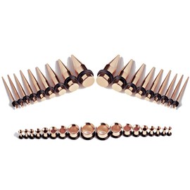 TBOSEN Ear Tapers Stretching Kit Stainless Steel Gauges Ear Plugs Tools Set Eyelet 14 g - 10 mm Pack of 36, Stainless Steel