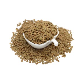 Trend Organic Green Lentils Ideal for Soups, Salads, and Main Courses with Its Hıgh Fibre, High Protein Content, Certified Organic, Vegan, Non-GMO, No Perservatives or No Additives, Raw, 500g