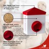RentACoop 2.5 Pound Chick2Chicken Medium Port Feeder and 64 Ounce