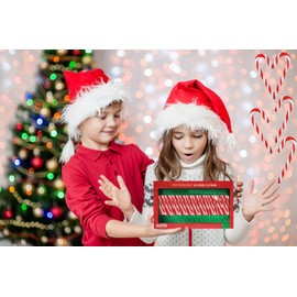 Fruidles Christmas Candy Canes Suckers, Peppermint Flavor, Individually Wrapped (24-Pack)