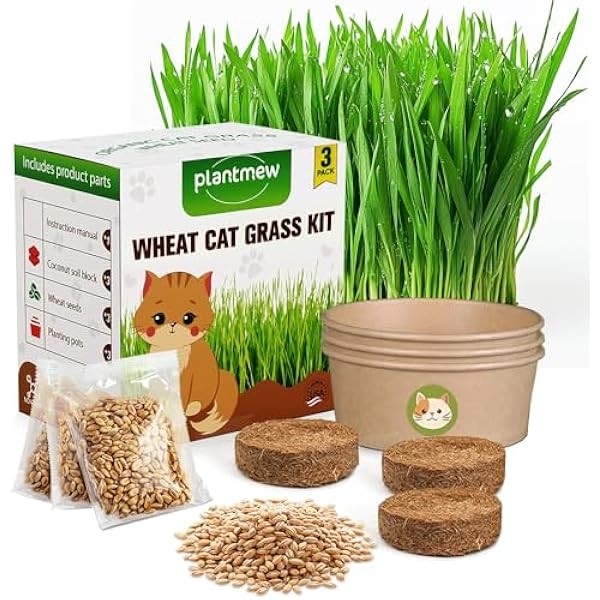 Cat Grass for Indoor Cats - Cat Grass Seeds Kit