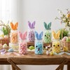 6 Pack 13.5oz Easter Candy Jars with Bunny Ear Lids