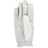 ARNOLD PALMER APG Golf Gloves APG-116 Men's White X Green